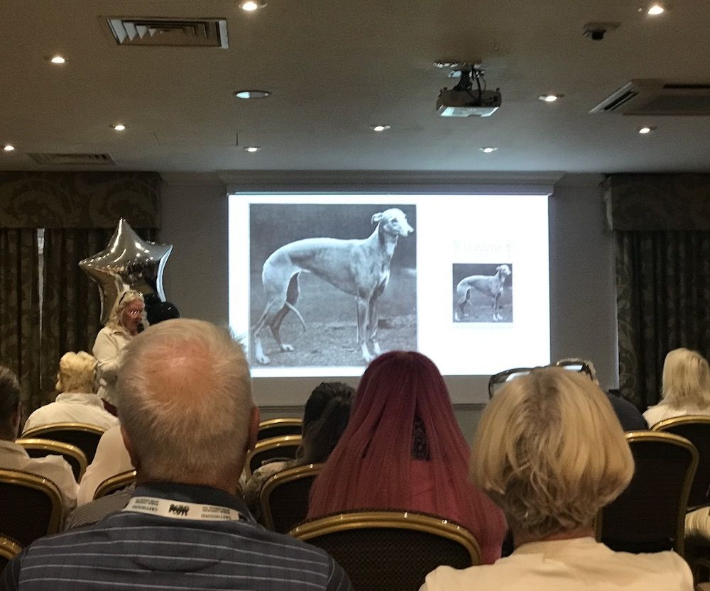 Greyhound World Congress …